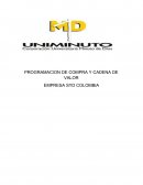 PROGRAMACION DE COMPRA Y CADENA DE VALOR EMPRESA SYD COLOMBIA