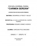 Viaje al interior del cuerpo humano