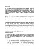 Planteamiento y desarrollo del servicio