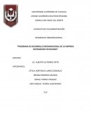 Programa de desarrollo organizacional de la empresa Invernadero Raymundo