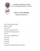 CURVA DE IMANACION