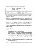 Sistemas de Información de Mercadotecnia. Observando los ingresos por nivel por nivel socio económico