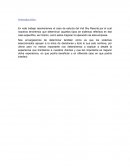 Sistemas de información, caso de estudio del Vail Sky Resorts