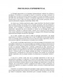 PSICOLOGIA EXPERIMENTAL