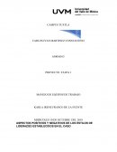 ASPECTOS POSITIVOS Y NEGATIVOS DE LOS ESTILOS DE LIDERAZGO ESTABLECIDOS EN EL CASO