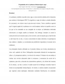 Propiedades de la Ayahuasca Banisteriopsis caapi