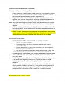 Condiciones de trabajo para linea de poliuretano