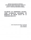 CALABACIN UN INGREDIENTE NATURAL, COMO ALTERNATIVA SOSTENIBLE EN BENEFICIO DE MEJOR SALUD EN LA PARROQUIA MUCUTUY