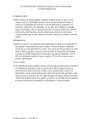 Contexto de violencia para el nuevo realismo latinoamericano