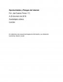 Oportunidades y Riesgos del internet