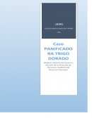 Caso - PANIFICADORA TRIGO DORADO