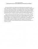 Importancia de la formación