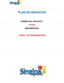 PLAN EMPRENDEDOR