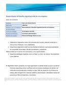 Desarrollado la filosofia de una empresa