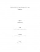 ENRON, los tipos que estafaron américa