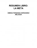 RESUMEN LIBRO: LA META