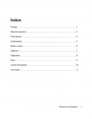 Estructura para proyecto de plan estrategico