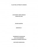 PROGRAMA DE INGENIERIA INDUSTRIAL