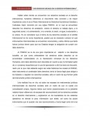 Los derechos sociales en el derecho internacional