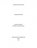 ACTIVIDAD 14 EVIDENCIA 6 Propuesta “Comercio Electrónico”