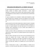 ORGANIZACIÓN MEDIANTE LAS REDES SOCIALES