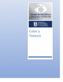 Color y textura