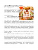 Caso de Negocio: Implementación de un Sistema ERP en MiPyMEs