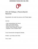 Exportación de coctel de quinua a los Países bajos