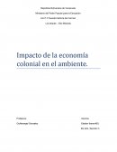 Impacto de la economía colonial en el ambiente