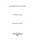 Taller busqueda de la informacion: Leptospirosis en el ganado y en la economia