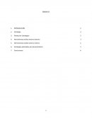 Estrategia empresarial. Formulación, implementación y análisis estratégico para una empresa