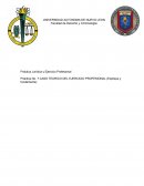 CASO TEORICO DEL EJERCICIO PROFESIONAL