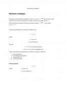 Fundamentos de Algebra complejos