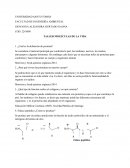 TALLER MOLÉCULAS DE LA VIDA