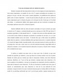 Urge una estrategia contra la violencia de genero