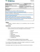 Actividad 1: Características únicas del comercio electrónico