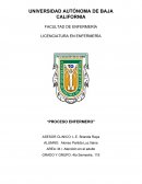 Proceso enfermero Asesor clinico: L.E. Brianda Raya