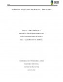 TALLER N°: ARBOL DEL PROBLEMA Y MARCO LOGICO