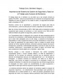 Importancia del Sistema de Gestión de Seguridad y Salud en el Trabajo para Cuerpos de Bomberos