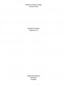 El maltrato de los animales en Puerto Rico