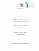 ANALISIS DE OFERTA Y DEMANDA CERVEZA AGUILA