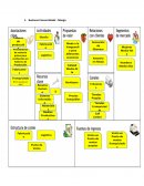 Business Canvas Model - Mango