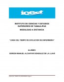 LINEA DEL TIEMPO DE EVOLUCION DE ENFERMERIA