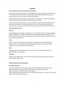 BOLMANT ¿Cómo surge la idea de la creación del Nuevo Producto?