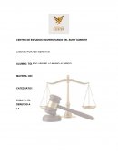 EL DERECHO A LA ECOLOGÍA (PROTECCIÓN AL AMBIENTE)