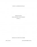 LA DESERCION ESCOLAR