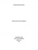 INFORME DISEÑO INDUSTRIAL