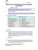 Ampliacion del sistema electrico rural de 22 localidades, del Distrito de Vinchos, provincia de Huamanga - Ayacucho