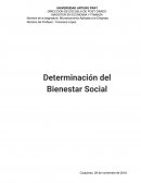 Oferta y demanda. Determinación del Bienestar Social