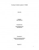 Portafolio Mis Evidencias